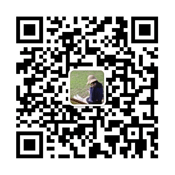 找锦鲤信息发布网微信客服